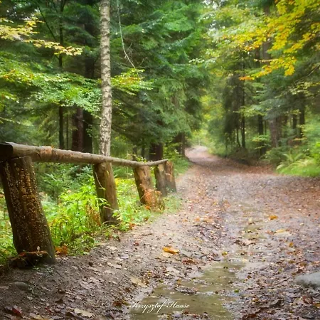 Podwale 2, 240 M Od Stoku Narciarskiego * Miedzybrodzie Zywieckie